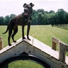 Eagle Creek Bark Park