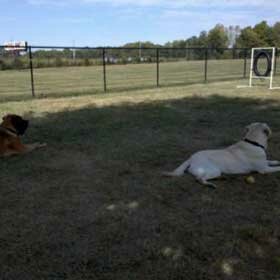 Avon-Washington Township Paw Park