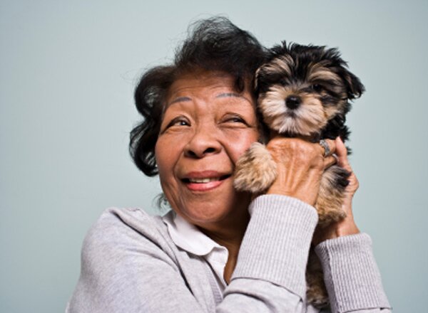 How Old Are You in Dog Years?